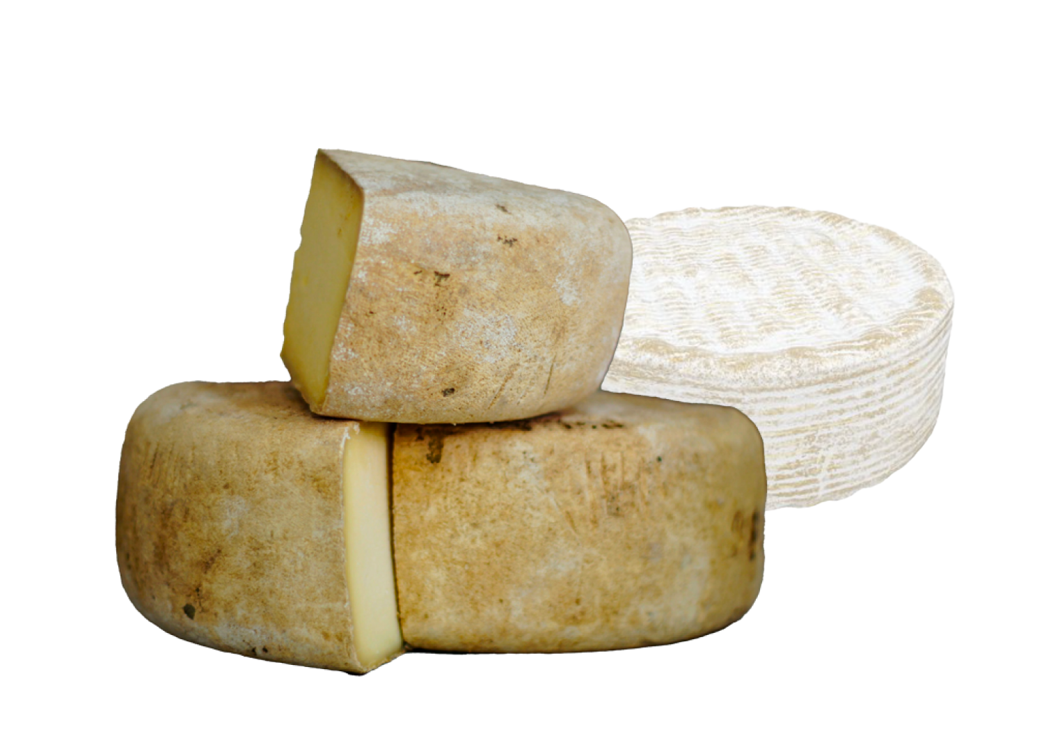 taleggio-brie-la-contra